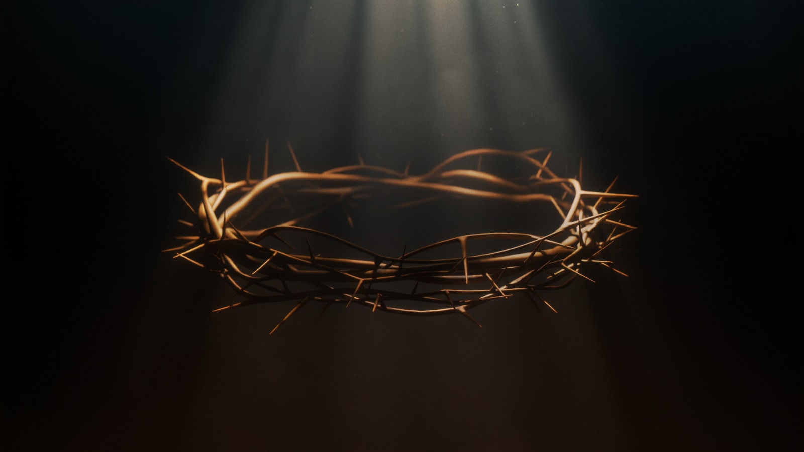 A crown of thorns illuminated by a single beam of light from above