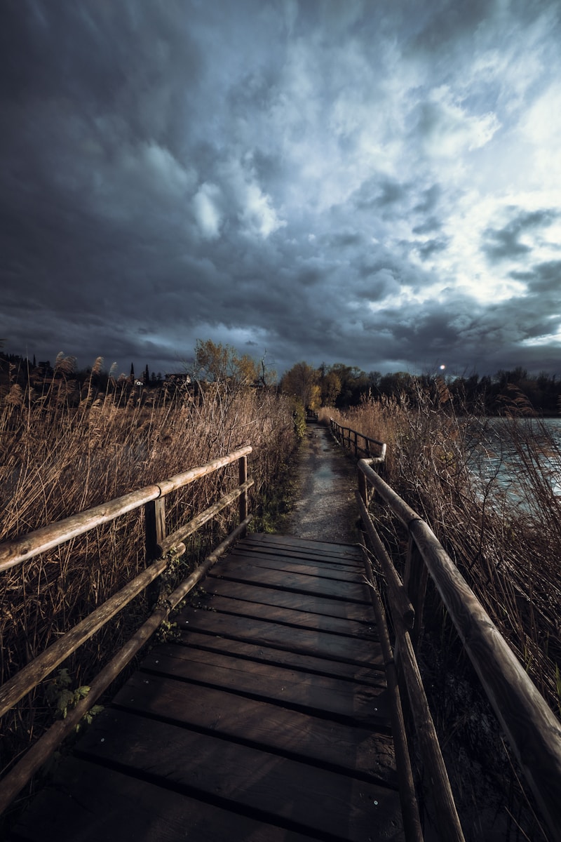 A wooden walkway leading to a body of water under a cloudy sky